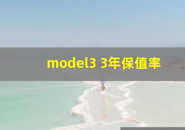 model3 3年保值率